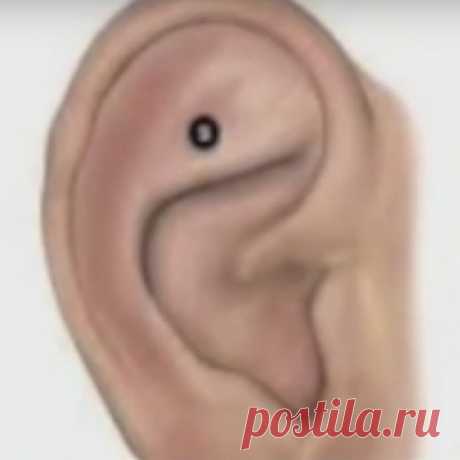 Точка для лечебного массажа: учимся быть здоровыми - МирТесен