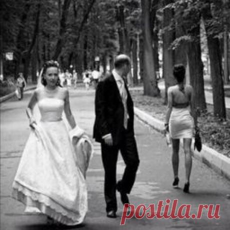 Писец - приколы интернета