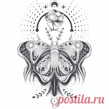 Векторная иллюстрация эскиз, тату искусства бабочка в абстрактном стиле, мистический, астрологический символ. Более миллиона свободных векторов, PSD, фотографии и бесплатные иконки. Эксклюзивные халявы и все графические ресурсы, которые необходимые для ваших проектов