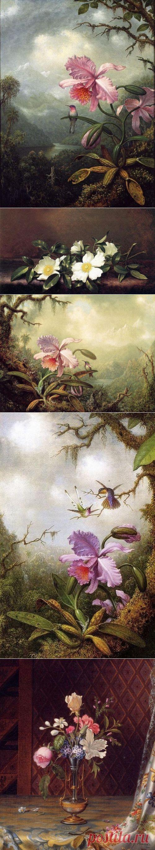 Цветы и птицы в работах художника Martin Johnson Heade | РОЗЫ