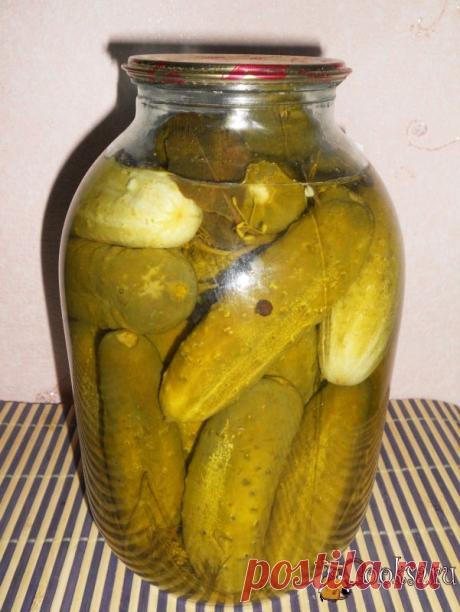 Огурцы маринованные по-немецки фото рецепт приготовления