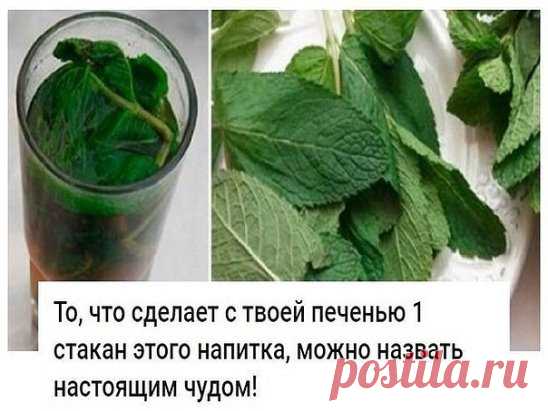 (41) Одноклассники