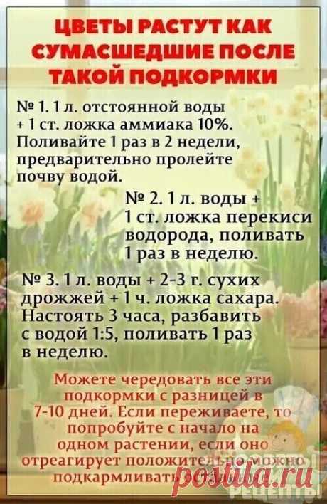 Полезно знать #рецепты