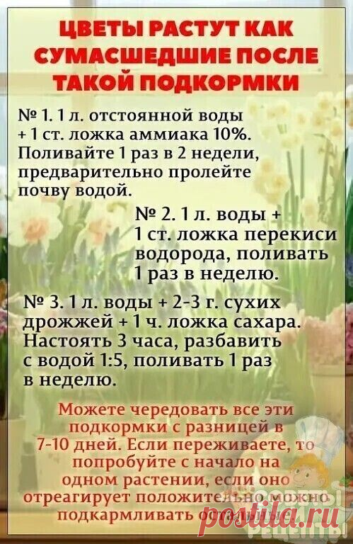 Полезно знать #рецепты