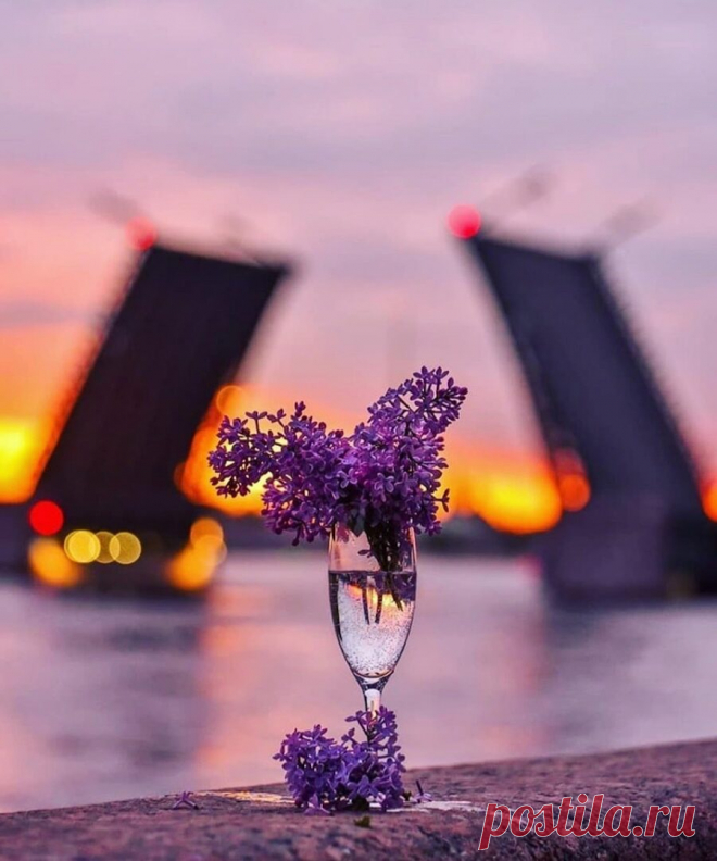 ༺🌸༻Будьте счастливы.
Просто так.
Потому, что впереди новый день, 
Потому, что жизнь продолжается!
