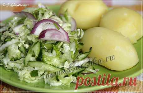 Свежо и вкусно . Хорошего дня ! Ингридиенты : 1/4 пекинская капуста, 
2 свежих огурца, 
1 красная луковица, 
зелень кинзы, 
перец, 
Показать полностью…