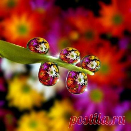 «Планета Земля - чудо Вселенной!»