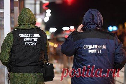 Россиянина арестовали за избиение главы города