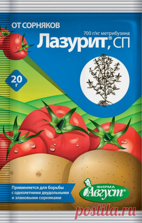 Гербициды: применяем с умом — 6 соток
