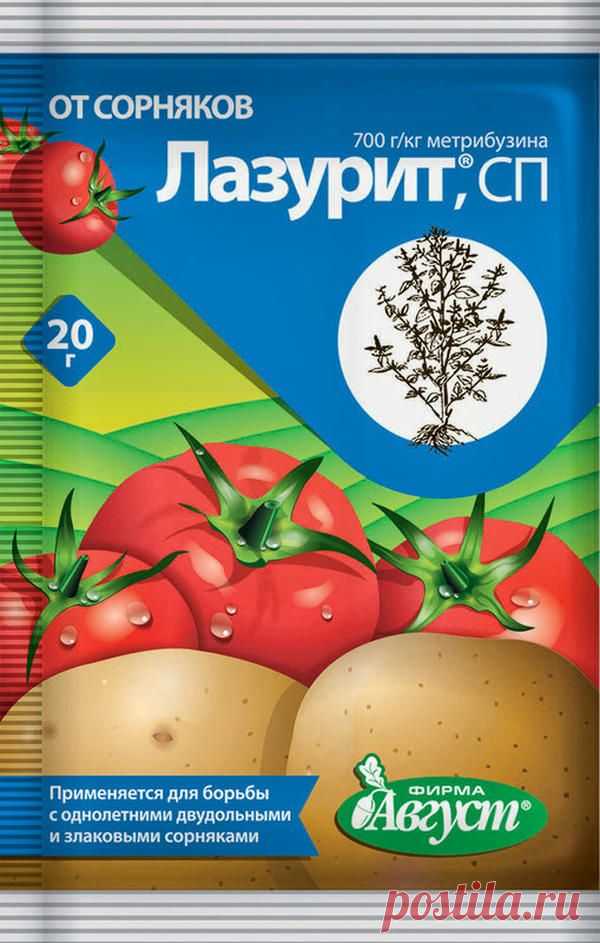 Гербициды: применяем с умом — 6 соток