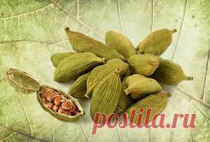 Полезные свойства кардамона для лечения и укрепления организма