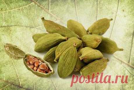 Полезные свойства кардамона для лечения и укрепления организма