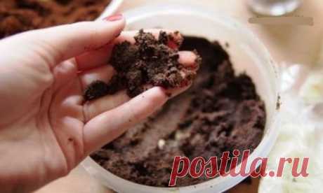 Маски из кофе для лица: чем полезна, рецепты, секреты применения
