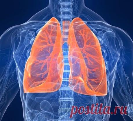 Как очистить легкие после курения: 4 способа, которые выведут токсины из организма!