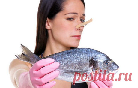 ⭕Что делать, если рыба пахнет тиной ?👇 | 🐟 РЫБА4ОК | Яндекс Дзен