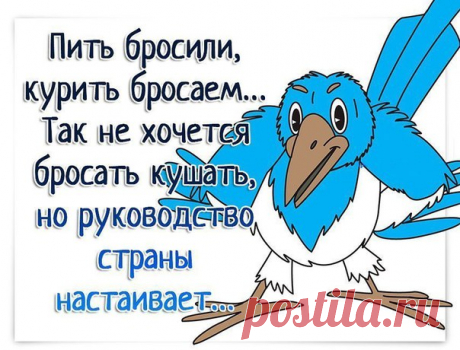 Коммунарские Активисты
