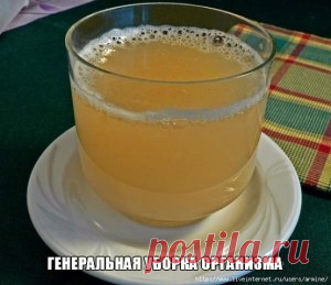 Поедашка.ру » Архив сайта » Генеральная уборка организма
