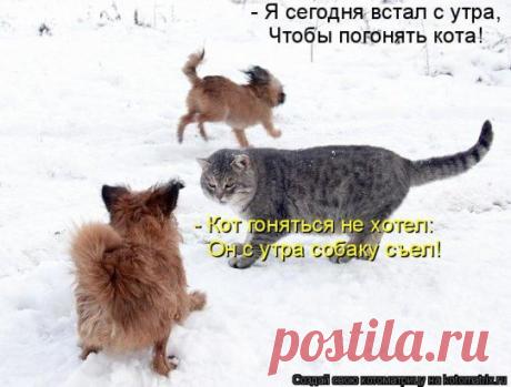 Юмор ✓ Позитив ✓ Приколы