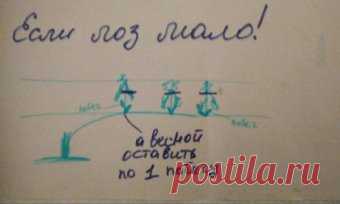 По многочисленным просьбам - обрезка винограда!                                                             Обрезку винограда делаем тогда,когда лозы вызрели! 1.Обрезаем лозы, которые отплодоносили.2.Берем лозы,которые выросли в этом году, отсчитываем от 8 до 12 глазков и обрезаем. Лоза с 8-12 глазками остаётся на плодоношение. 3. Те лозы,которые выросли в этом году, но расположены близко к почве, их обрезаем на 2-3 глазка и оставляем для замещения.Если вдруг у вас мало лоз, то для плодоношения