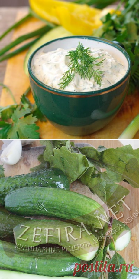 Соус из свежих огурцов с чесноком – Кулинарные рецепты любящей жены