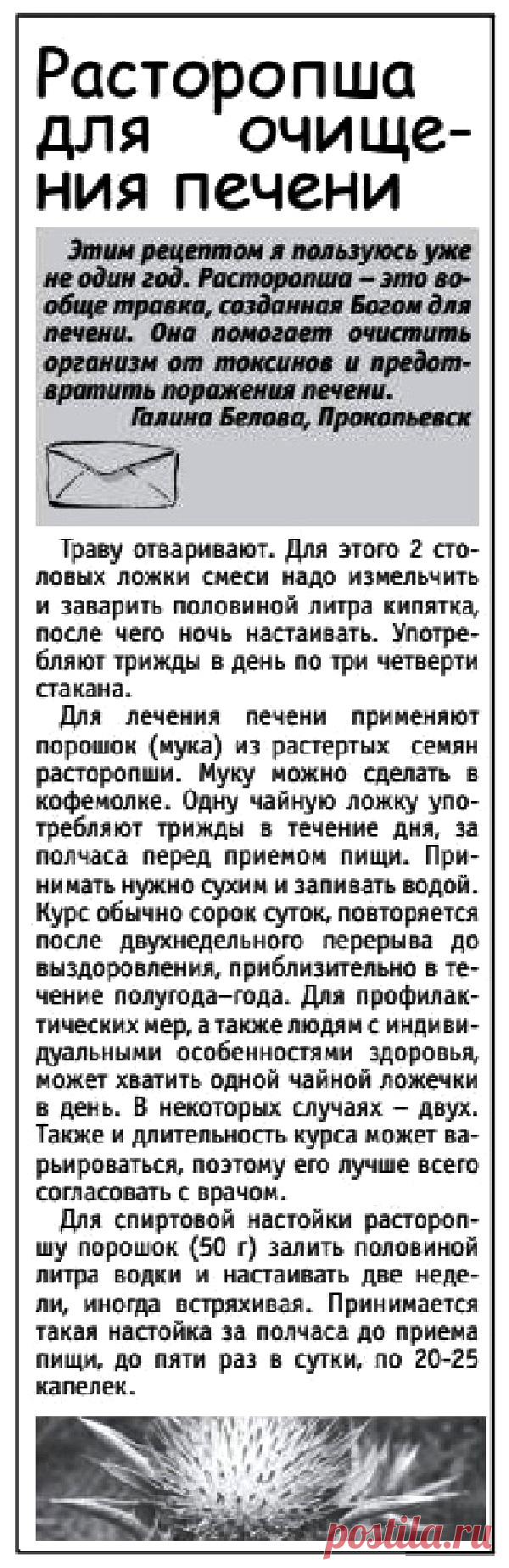 Расторопша для очищения печени