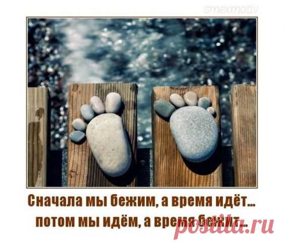 Август 2018 | Смех и мотиваторы