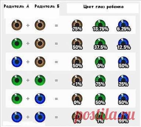 ЧТО, ПРАВДА ЧТО ЛЬ?