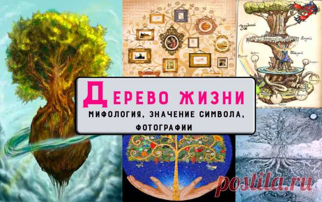 Дерево жизни – мифология, значение символа, фотографии, символ разных народов Древо жизни Мифологический образ во многих культурах. Концепция Древа Жизни использовалась в религии, философии и мифологии. Сегодня выходя из разных источников мы попытаемся в кратком рассказать о термине. Дерево жизни – в фольклоре, книгах, мифах и художественной литературе упоминаются различные деревья жизни, часто связанные с бессмертием и плодородием. Мифология 1. В славянской мифологии В сл...