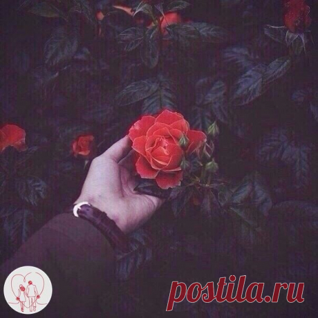 А я всё равно надеюсь, что завтра моя жизнь изменится..