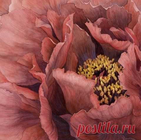 Potpourri