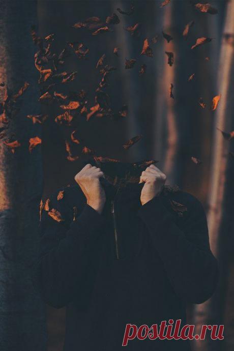 Мы пытаемся изменить мир, совершая при этом ошибку за ошибкой.

©Чак Паланик ''Колыбельная''