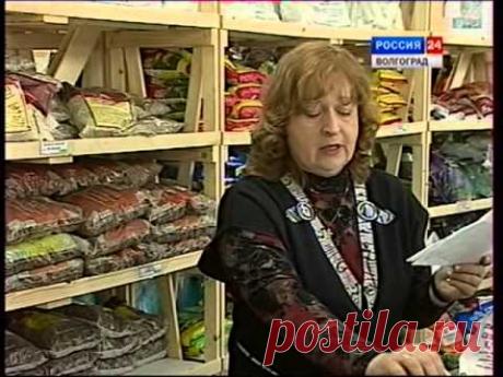 Приобретение удобрений. Минеральные удобрения. Внекорневая и корневые подкормки. - YouTube