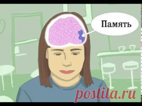 ВОТ СЕКРЕТ, КАК УВЕЛИЧИТЬ ВАШУ ПАМЯТЬ ДО 80%
