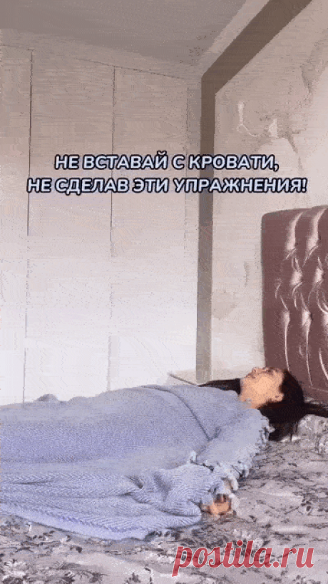 из альбома Гифы.