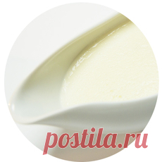 Соус хлебный Наливаем молоко в сотейник и ставим на разогретую плиту. Делаем луковый клуте: очищаем лук-шалот и вкалываем в него гвоздику. Добавляем в сотейник с молоком две щепотки соли и луковый клуте. Варим.