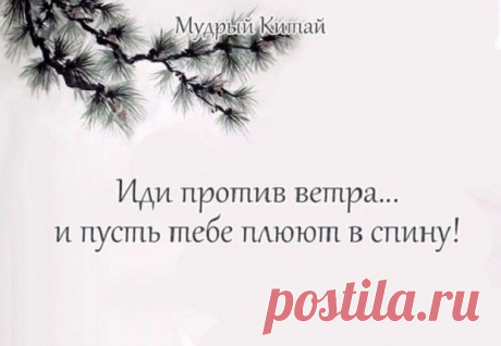 Мудрости дракона — Болтай