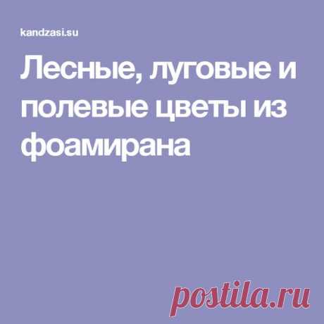 (268) Pinterest