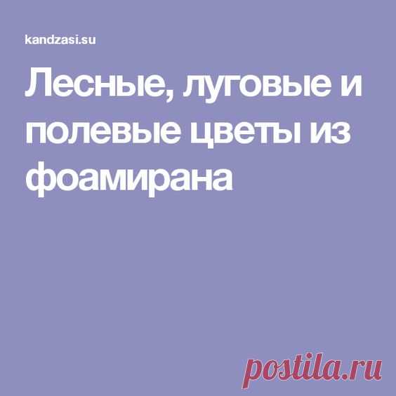 (268) Pinterest
