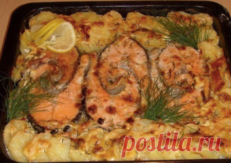 Запекаем РЫБУ - 6 рецептов!

1. Обалденная вкусная запеканка картофельная с рыбкой
Получается изумительная хрустящая сырная корочка! И рыбка, и картошка в сливках со специями приобретают нежный пикантный вкус! Быстро, легко и вкусно! Рецепт для уютного семейного ужина, все будут довольны и сыты.