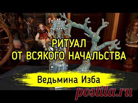 ОТ ВСЯКОГО НАЧАЛЬСТВА. ДЛЯ ВСЕХ. ВЕДЬМИНА ИЗБА ▶️ ИНГА ХОСРОЕВА