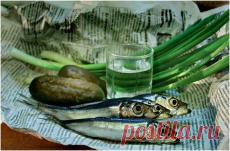 У меня глубоко философский тост. Обращаясь к рационально-апоплексическому анализу дисгармонии фазисов современного апогея, мы эфемерно субъективизируем в радикально-трансцендентном апофеозе, амбиозе, трынфеозе и дрындулезе. Ура! За это!
♥