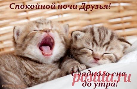 ДРУЗЬЯ! СПОКОЙНОЙ НОЧИ! ДО ЗАВТРА! Смолкают звуки дня, и прочь Уносятся печали и заботы. И тихо ...