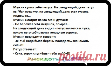 #Выходные #анекдоты_da #юмор #анекдот #прикол #настроение #смех #шутки #картинки