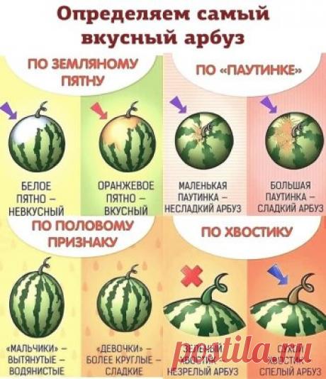 Предлагаю вам в помощь маленькую памятку о том, как выбрать арбуз.
Если вам она поможет, значит не зря.