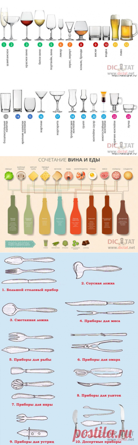 Еда, вино, бокалы: что с чем и как