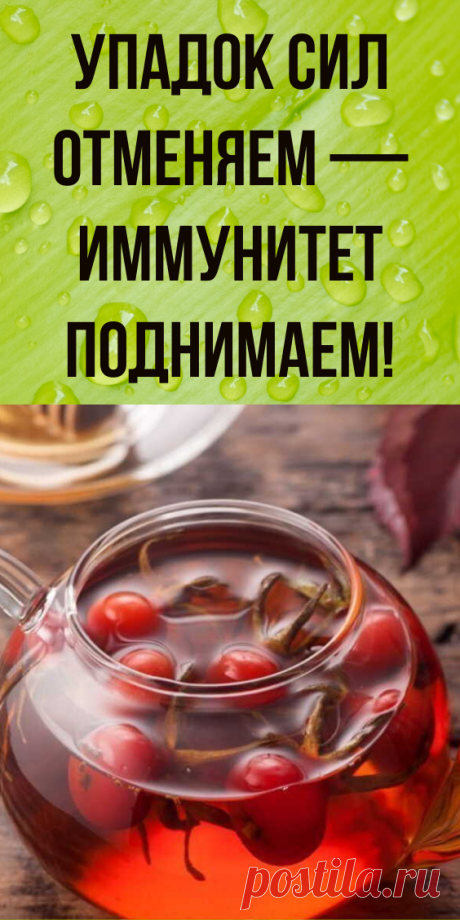 Упадок сил отменяем — иммунитет поднимаем!