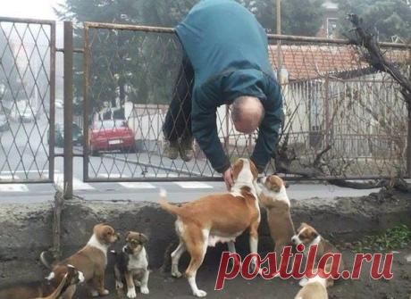 Валерiя Колонистова