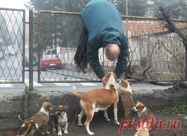 Валерiя Колонистова