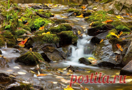 Прощай осень 2014