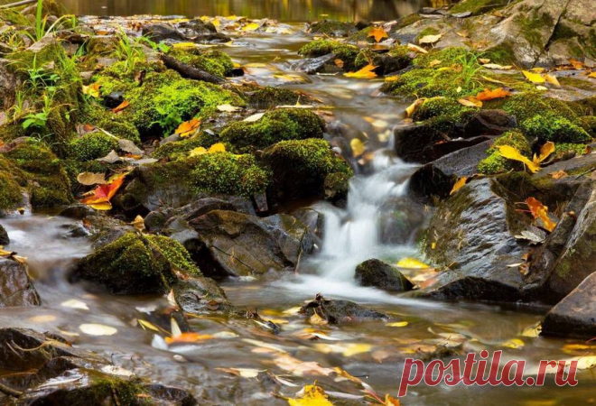 Прощай осень 2014